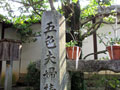 大阪府茨城市史跡、椿本陣の由来の五色夫婦椿の参考画像01。　尺八修理工房幻海